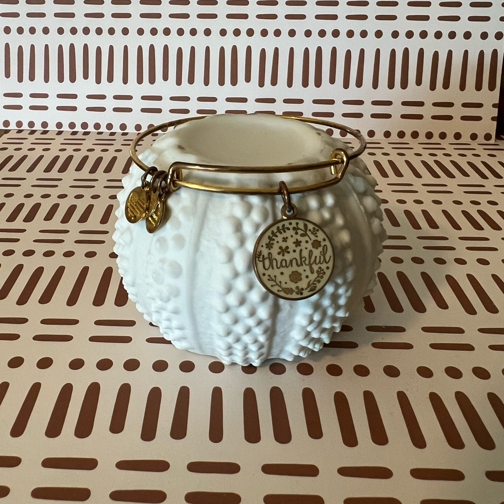 Alex and Ani thankful bangle
